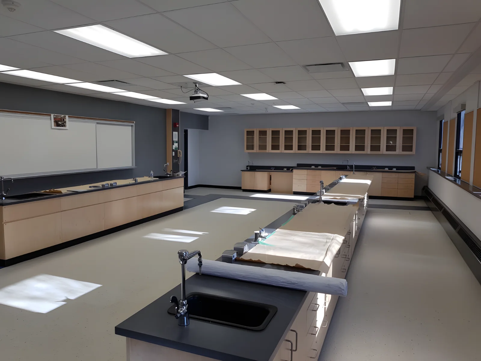 Empty science laboratory with sinks and cabinets.