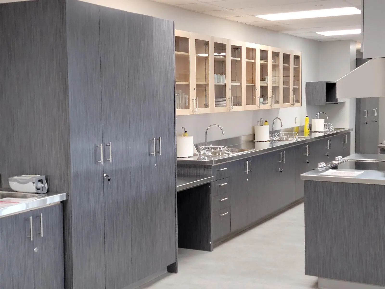 Modern kitchen with gray cabinets and countertops.